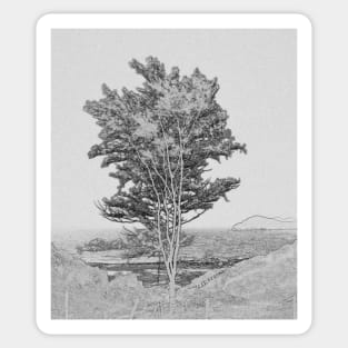 A study in grey of a lone tree. Sticker